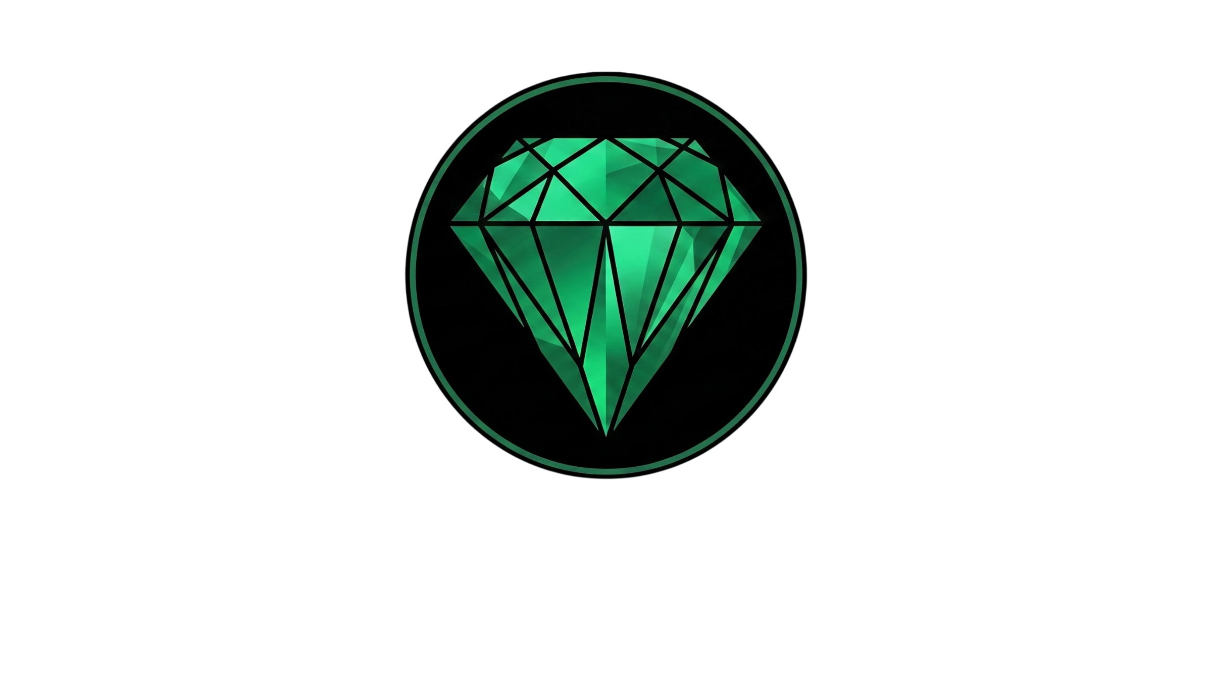 Bodliz Studio logo
